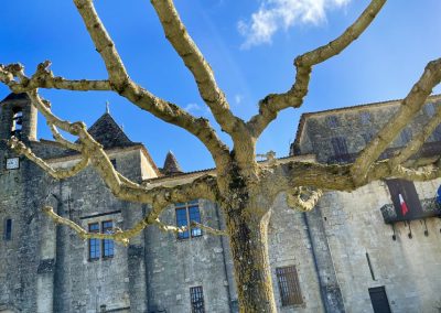 saint ferme 00006