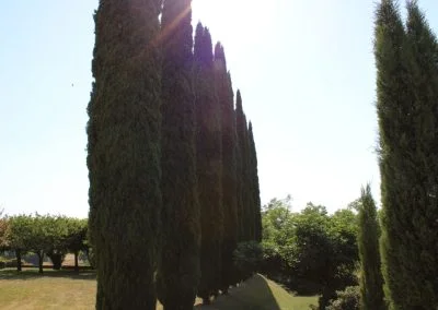 saint sulpice de guilleragues 00011
