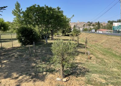 sauveterre de guyenne 00001